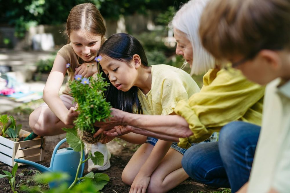 Young,Kids,Taking,Care,Of,Plants,In,School,Garden,During